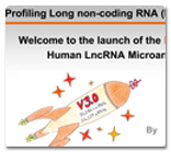 Webinar